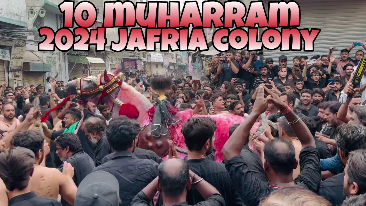 10 Muharram 2024 Jafria Colony Lahore | My Daily Routine | Vlog 575