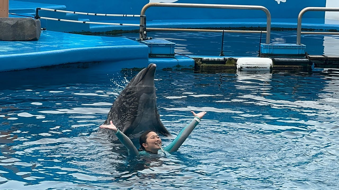 (240701)仙台うみの杜水族館スタジアムライブ