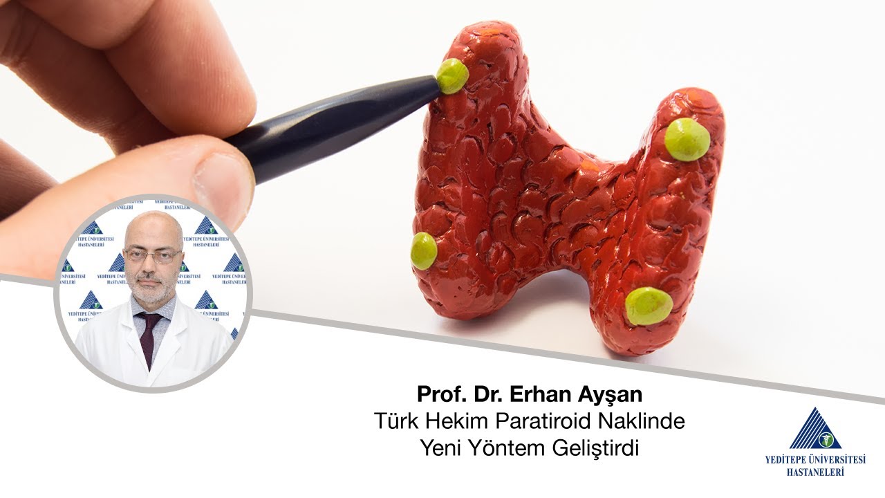 Türk Hekim Paratiroid Naklinde Yeni Yöntem Geliştirdi / Prof. Dr. Erhan Ayşan