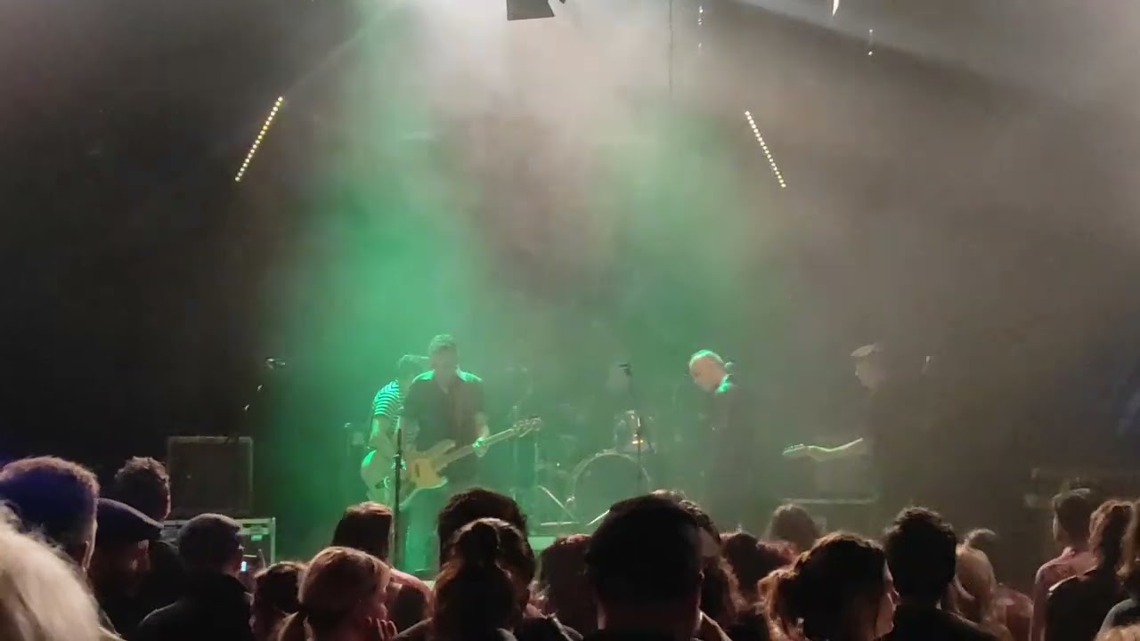 NO PUNK,YOU PUNK - Goo Goo Muck (THE CRAMPS Cover) 