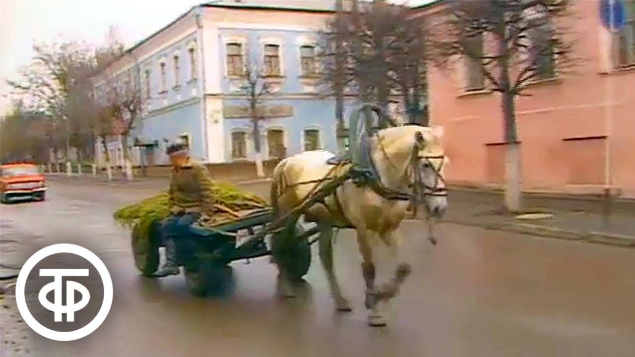 Александра Ливанская в Серпухове. До и после полуночи (1989)