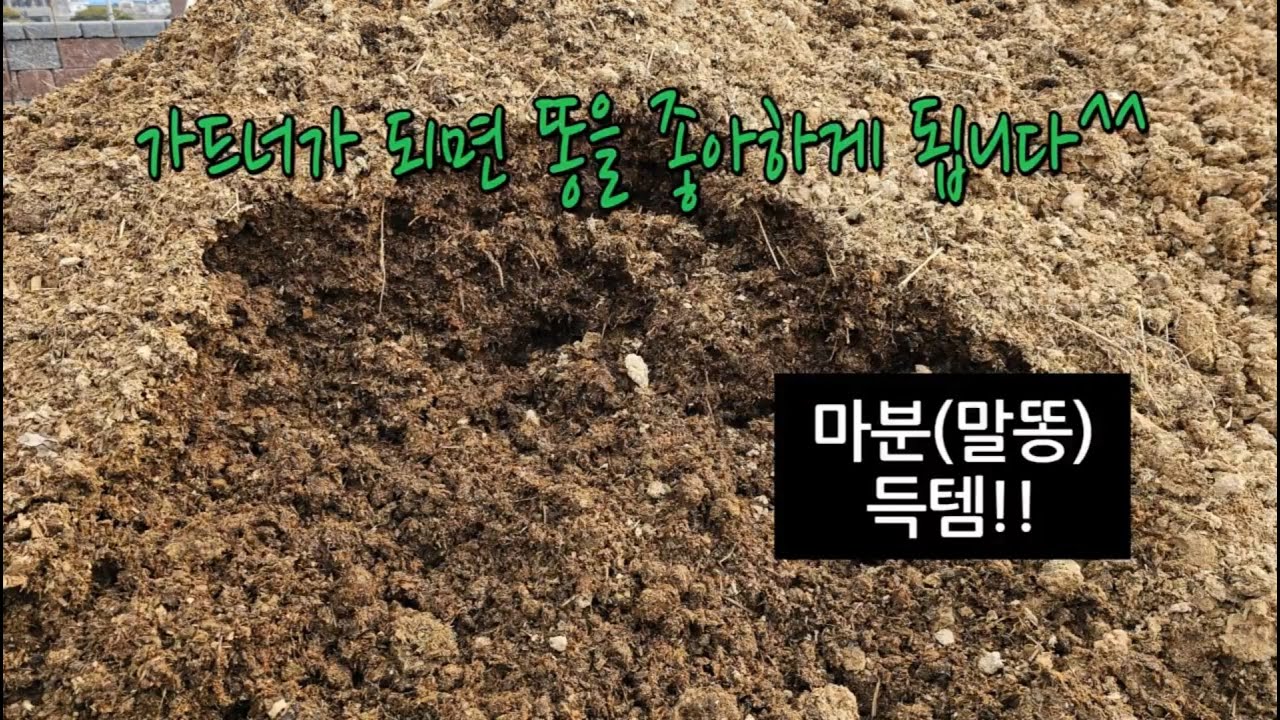 마분득템  #말똥 #마분  #가축분거름