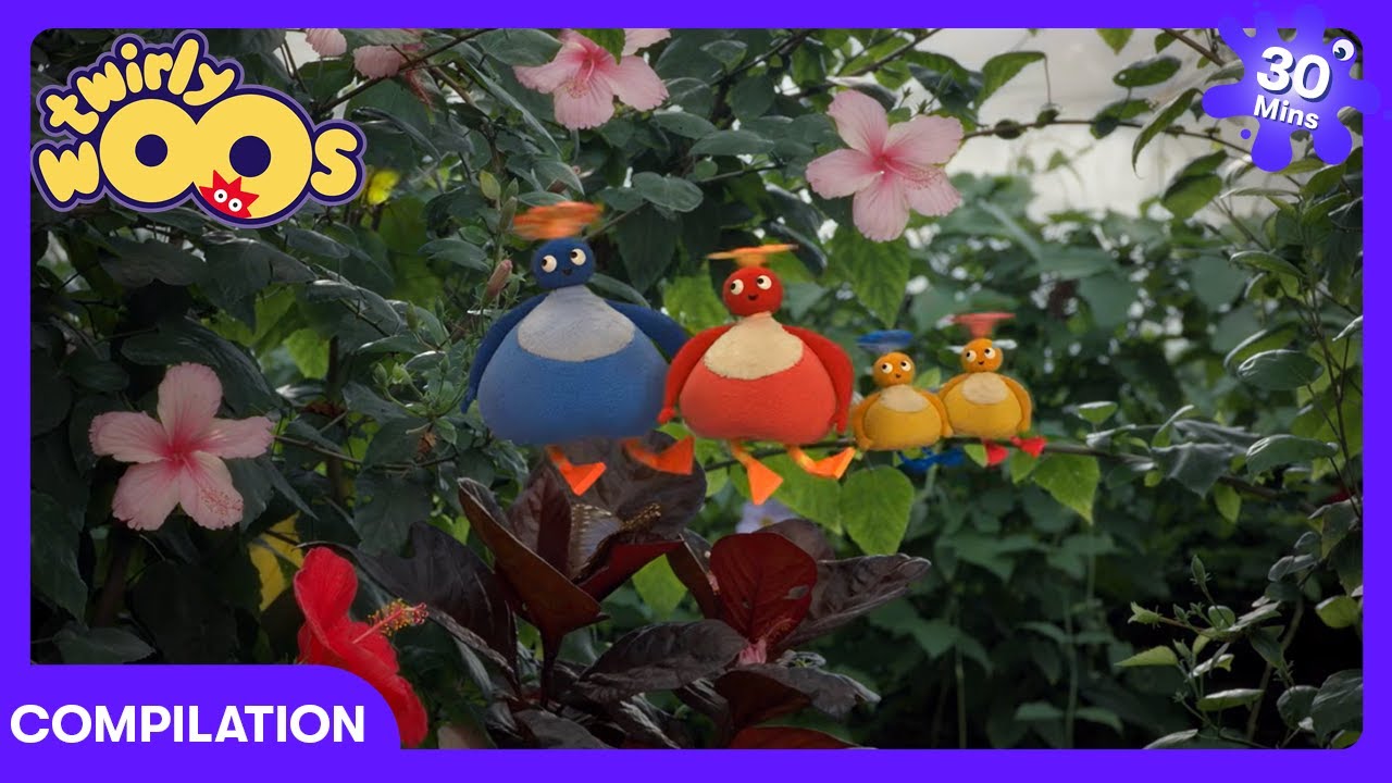 Twirlywoos - Tiny Butterfly & Starfish | Kids Cartoons | WildBrain Preschool