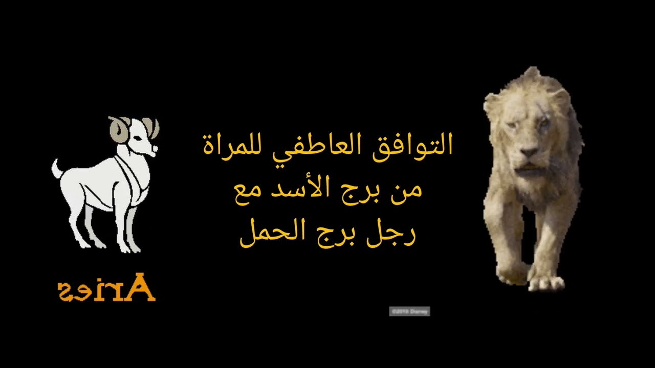التوافق العاطفي بين أنثى الأسد ورجل الحمل: انسجام ناري وعلاقة مثالية !! ام تحديات مستمرة ؟
