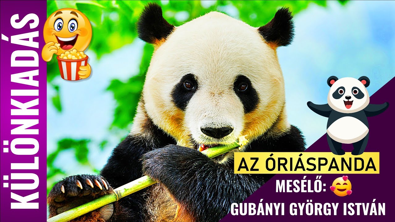 AZ ÓRIÁSPANDA - Különkiadás 🥰 - Gubányi György István hangjával 🍿🎉 😊 | Állatok gyerekeknek