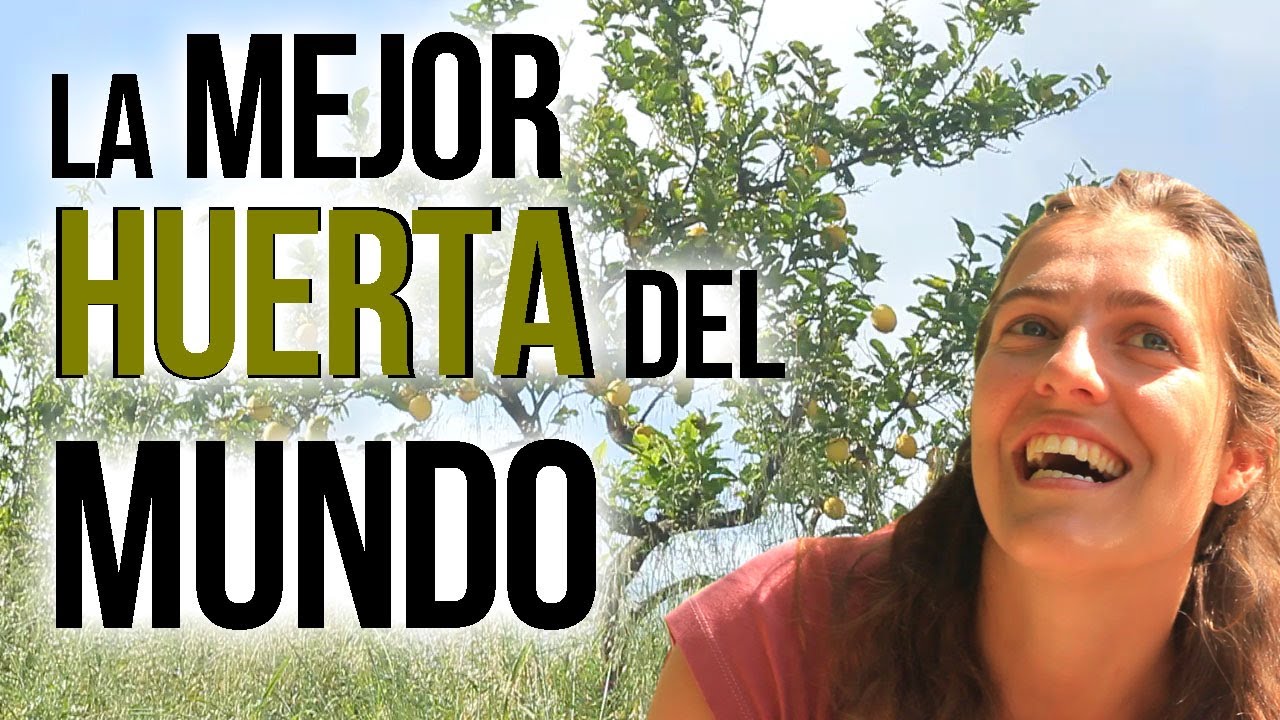 Te muestro qué es la PERMACULTURA con🍀 [Objetivo de Luz]