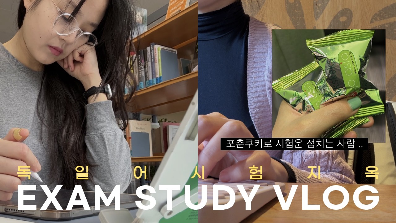 🥠 포춘쿠키로 독일어시험 점치는 사람, 저예요 | 공부vs호르몬 .. 문제로다