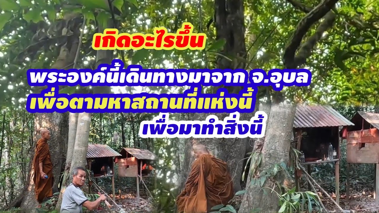 พระองค์นี้เดินทางมา เพื่อตามหาสถานที่แห่งนี้ เพื่อมาทำสิ่งนี้#ช่างเดี่ยว ชาแนล#ความเชื่อความศรัทธา