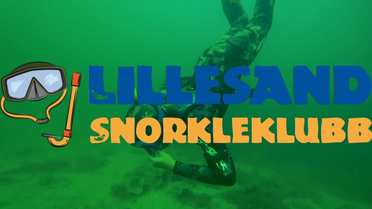 Action in Lillesand Snorkleklubb, Norway