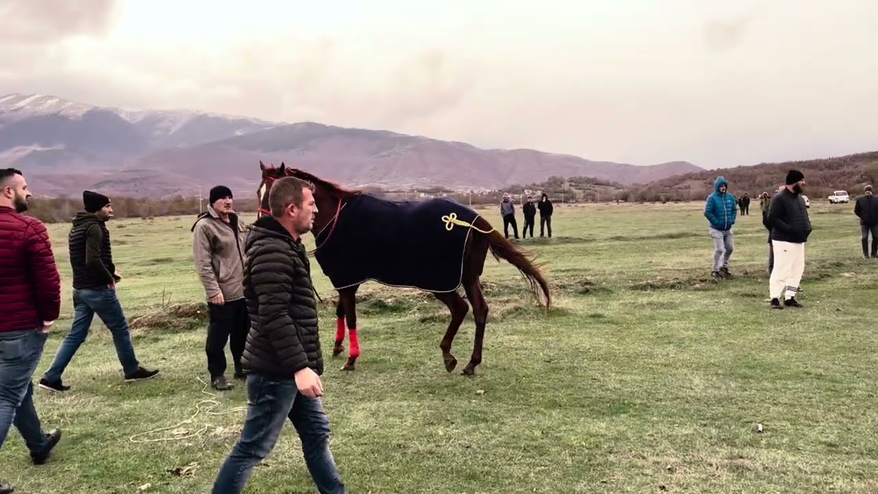Garat e Kuajve Opoje per nder te festave te Nentorit.