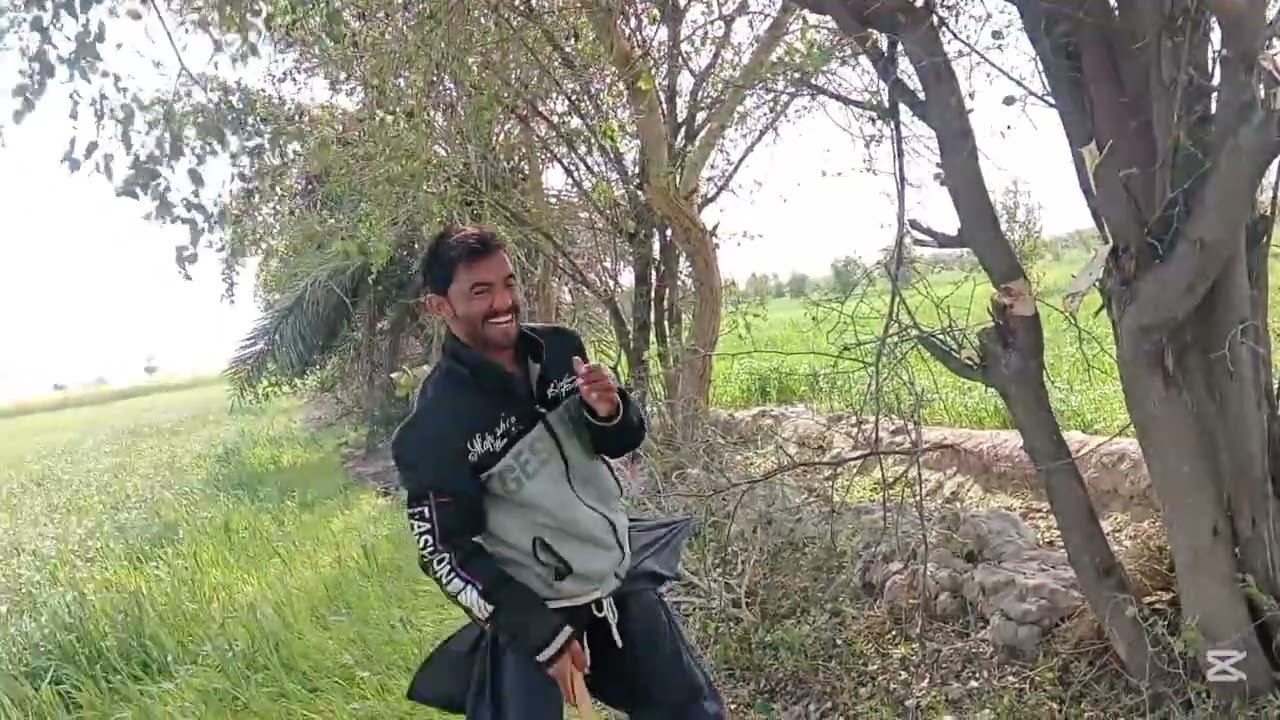 آ ج ہم بکریوں کے لیے بیر کاٹنے گئے 