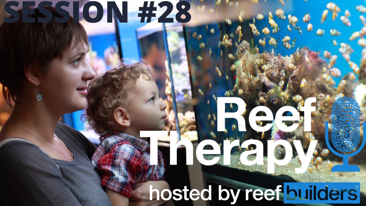 Why We Love Local Fish Stores | #28