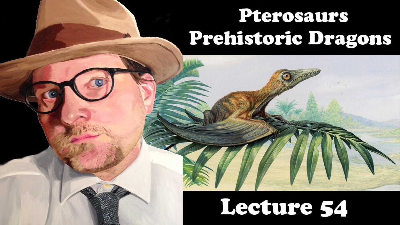 Lecture 54 Pterosaurs Prehistoric Dragons