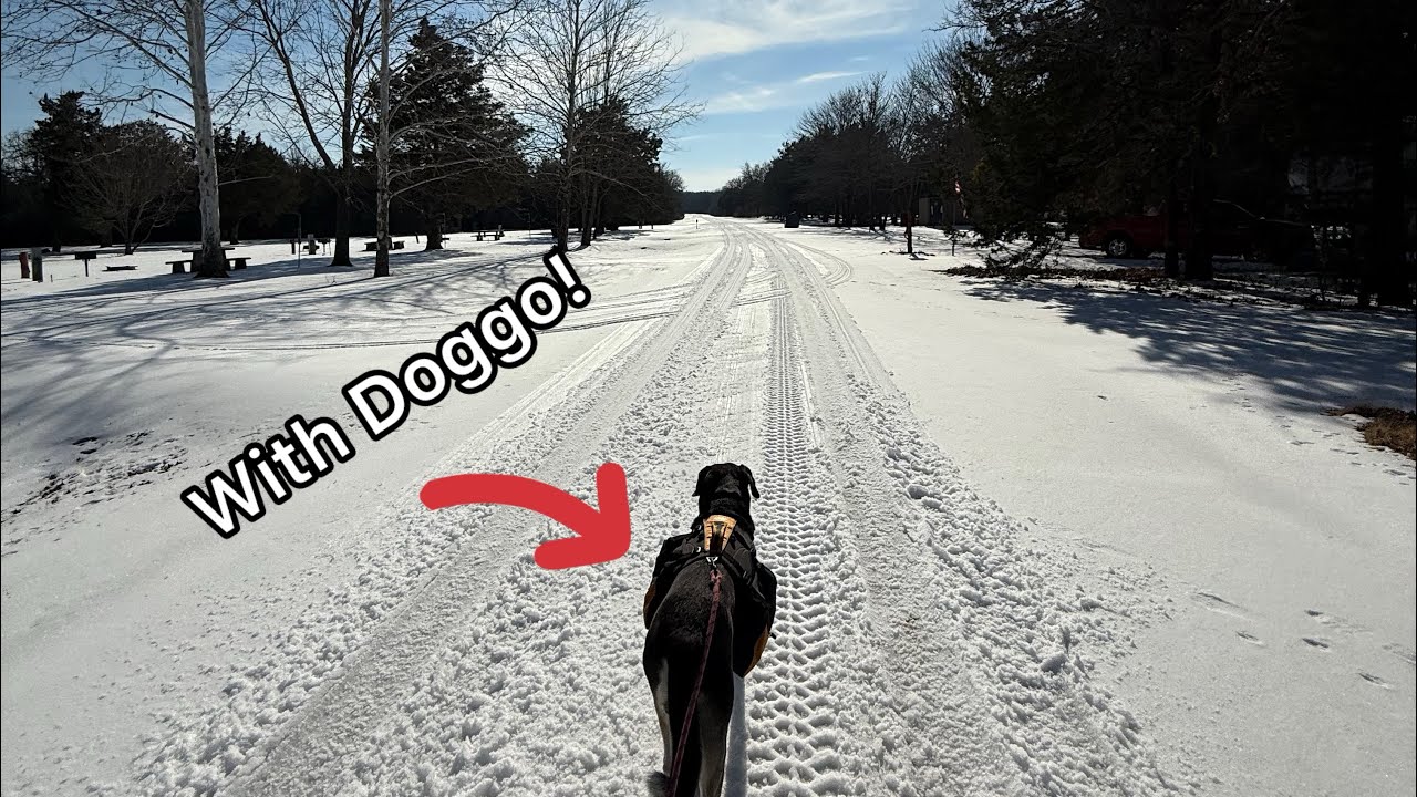 Snowy Trail Run at Lake Murray State Park