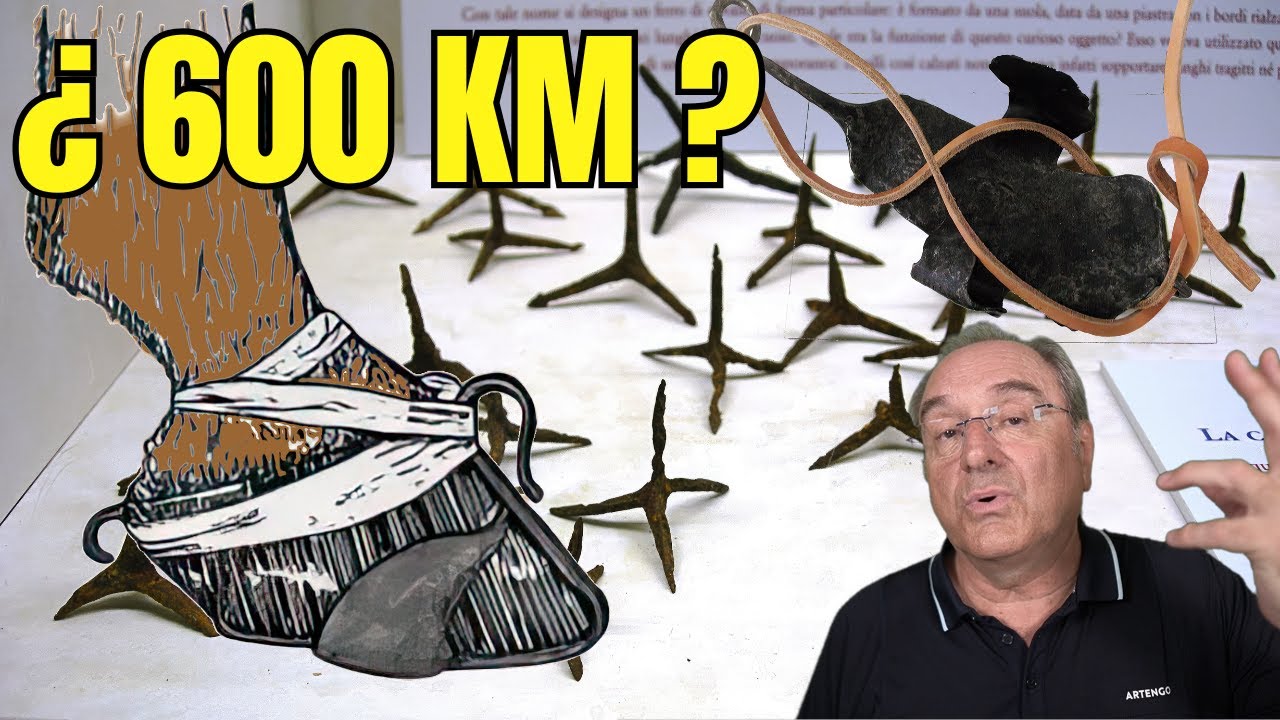 Comían ostras a 600 Km de la costa
