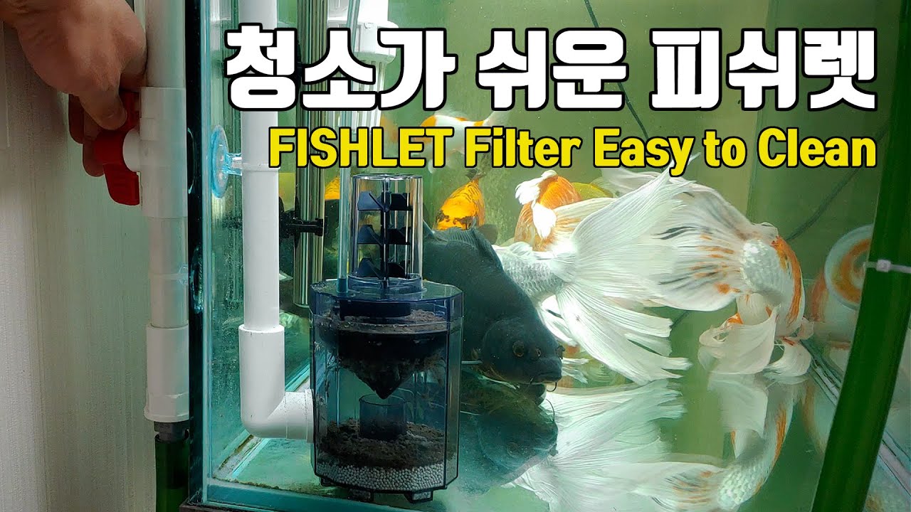 청소가 쉬운 피쉬렛 개조하기 FISHLET(Fish waste filter) Remodeling