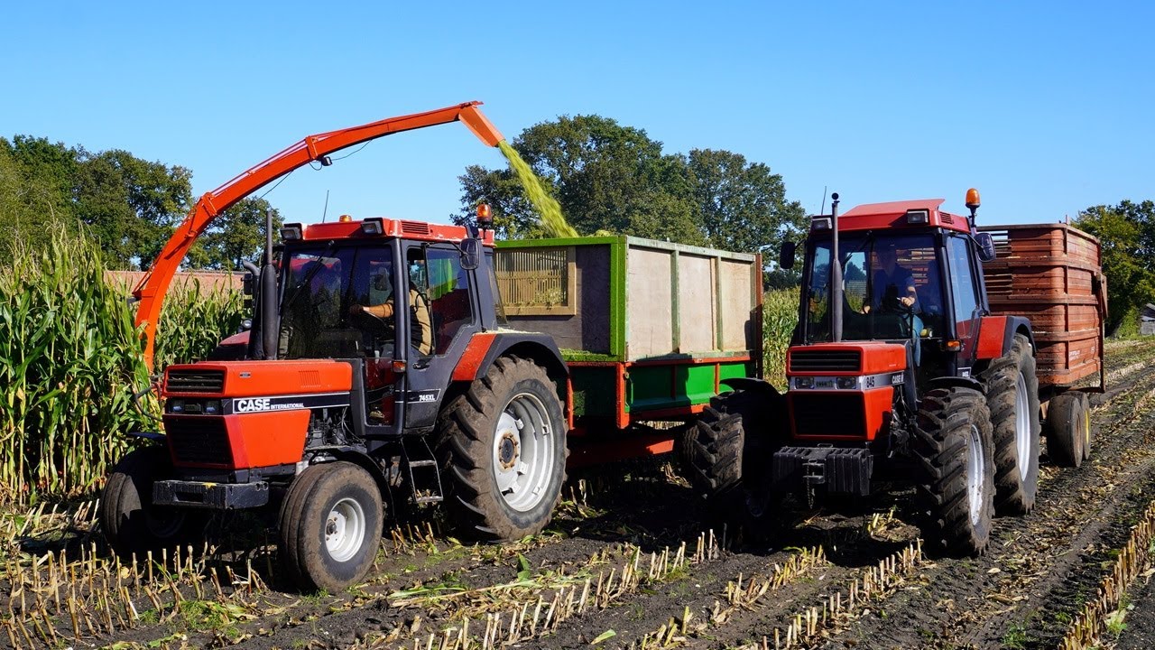 Mais 2024 | 3x Case International | Fendt 612LSA | Busweiler Nunspeet | Maishakselen | Kuilwerk