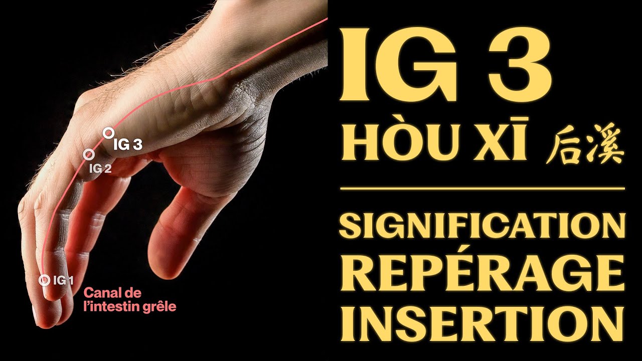 Point d’acupuncture : IG 3 (hòu xī 后溪) signification, repérage, insertion
