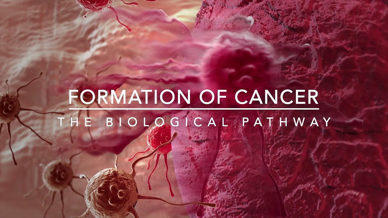 Formation of Cancer: The Biological Pathway #cancer #research #medical #science