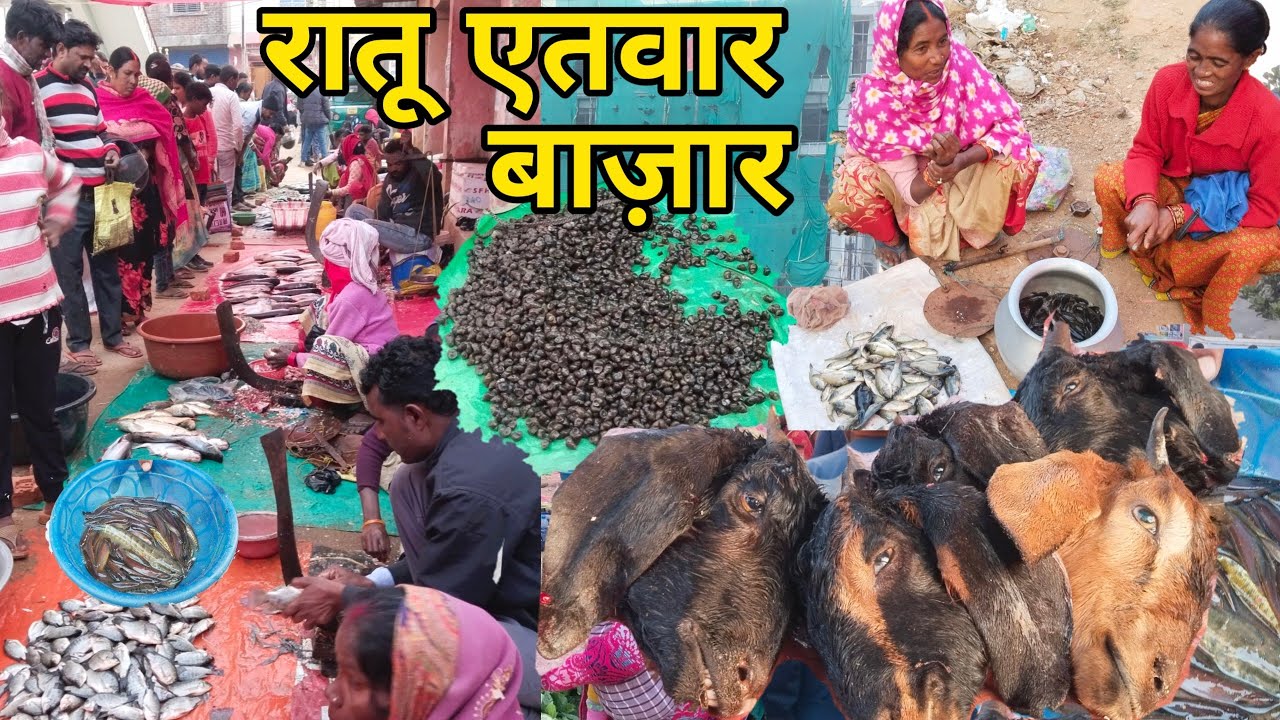 रातू येतवार बाजार रांची | यहाँ सब कुछ मिलता है मटन चिकन पचोनी देसी मछली | Jharkhand Tribal Market