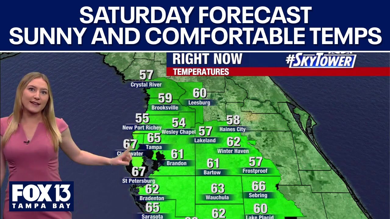 Tampa weather | Sunny and comfortable temps