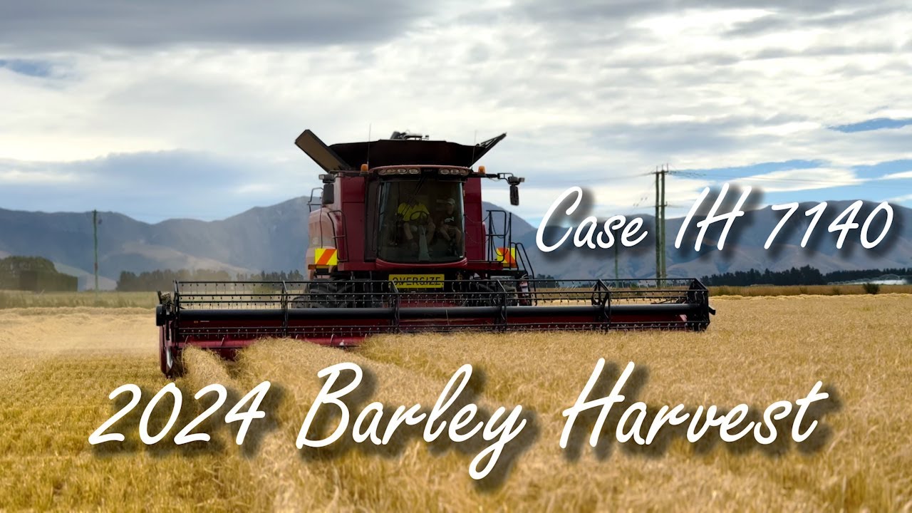 2024 Barley Harvest with Case IH 7140 Combine at Mayfield, NZ