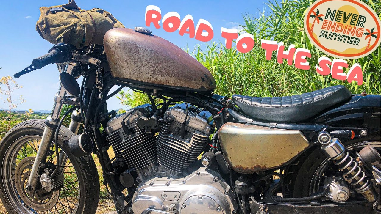 DALLE COLLINE AL MARE in Harley-Davidson |Abe Wildblogger| #HARLEYDAVIDSON #883 #SPORTSTER