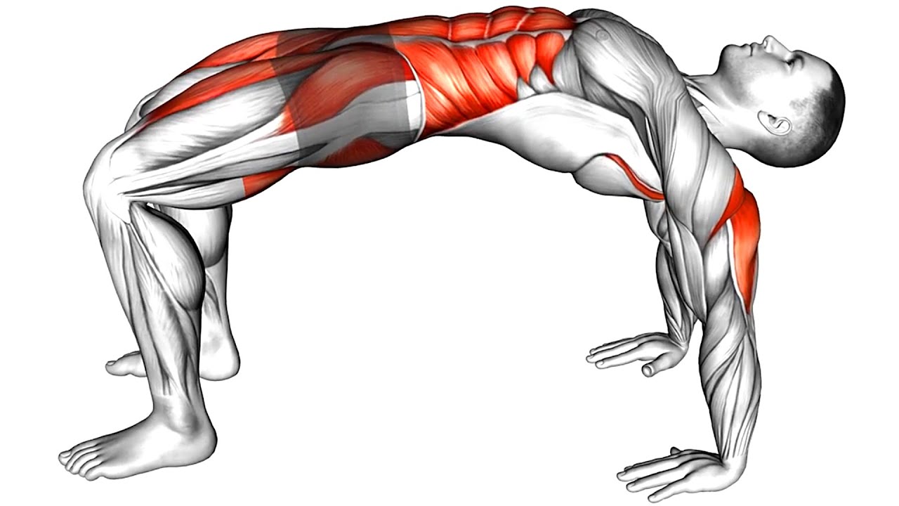 Best Exercises For Men Over 40