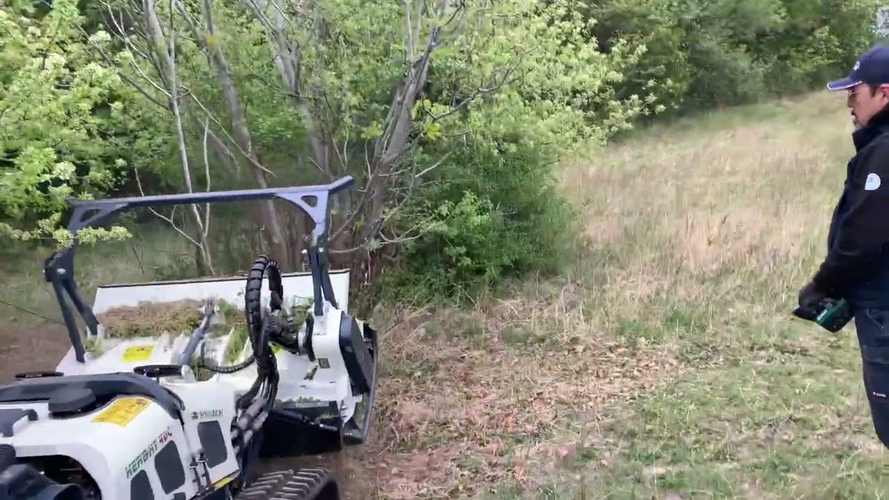 Esempio di trinciatura albero - Crivellaro Mirco