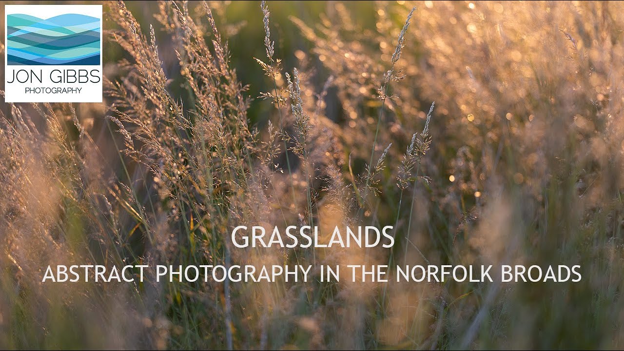 GRASSLANDS - Abstract Photography in the Norfolk Broads