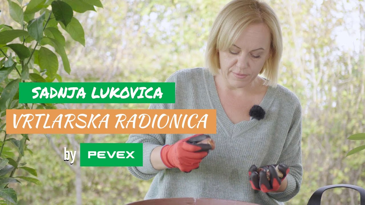 Sadnja lukovica u tegle - Vrtlarska Radionica by Pevex