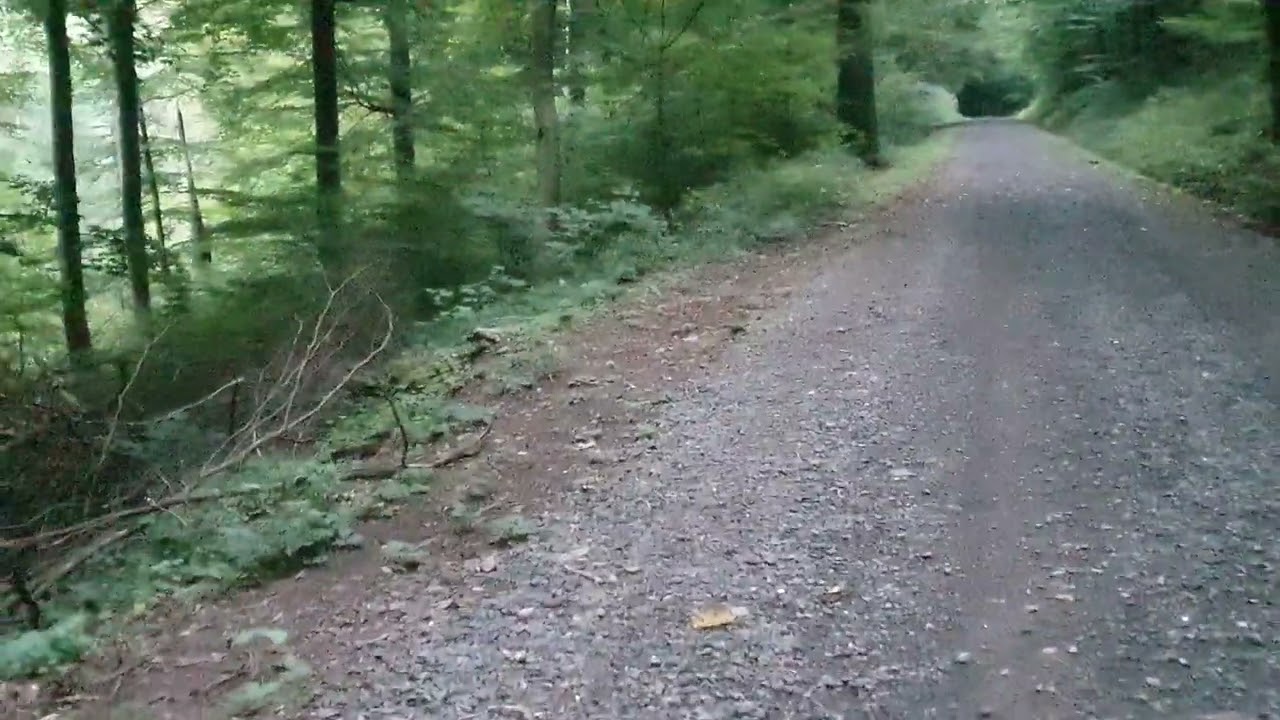 Update zum M&uuml;ll im Wald 🌲