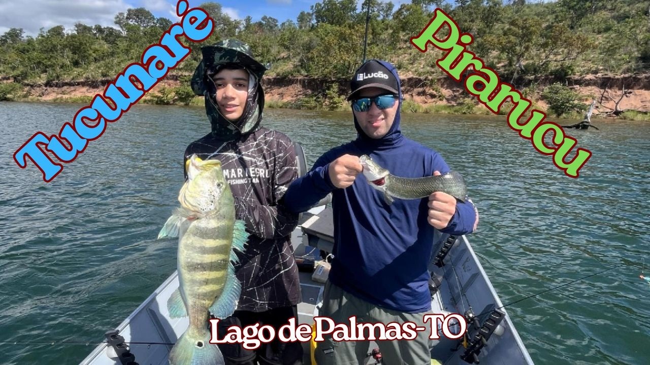 Pirarucu e Tucunaré Lago de Palmas