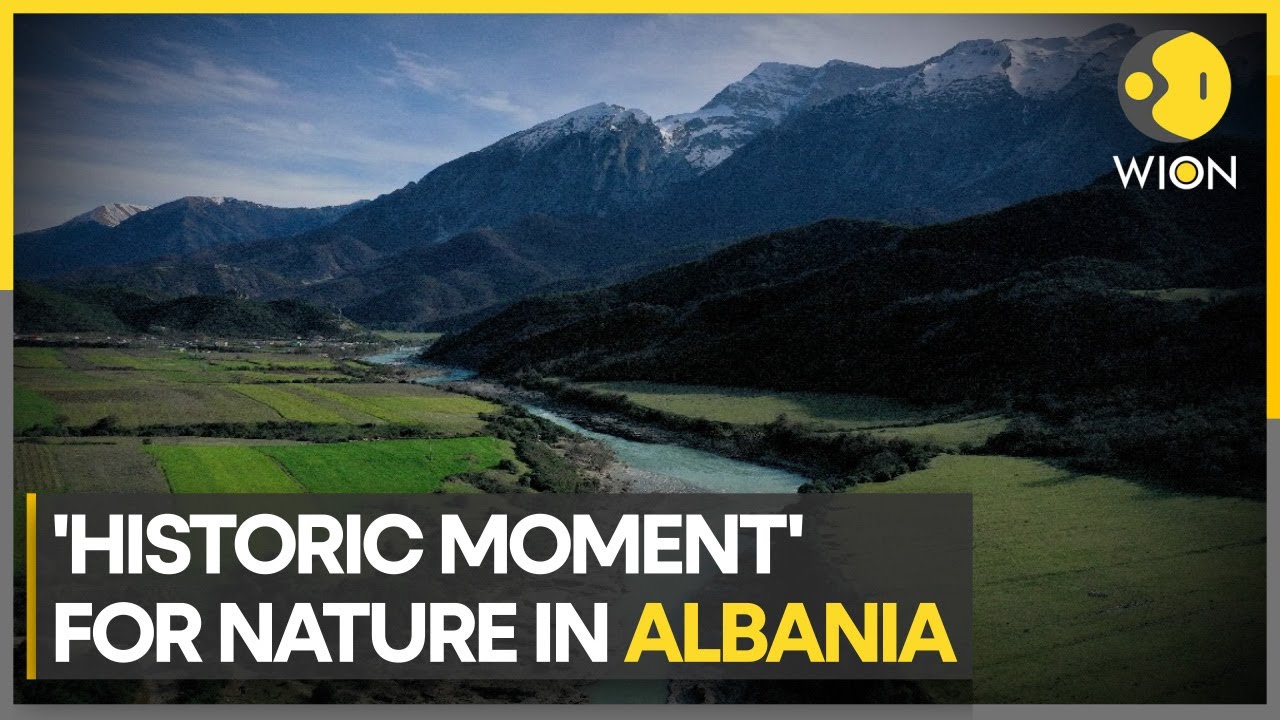 'Historic Moment': Albania's 'Wild River' granted new status | WION Climate Tracker
