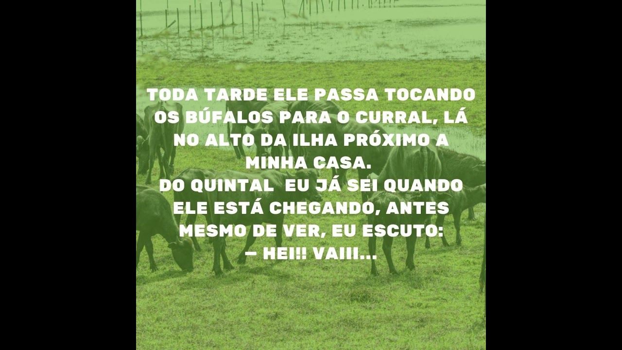 Uma homenagem para meu irmão Aneilton