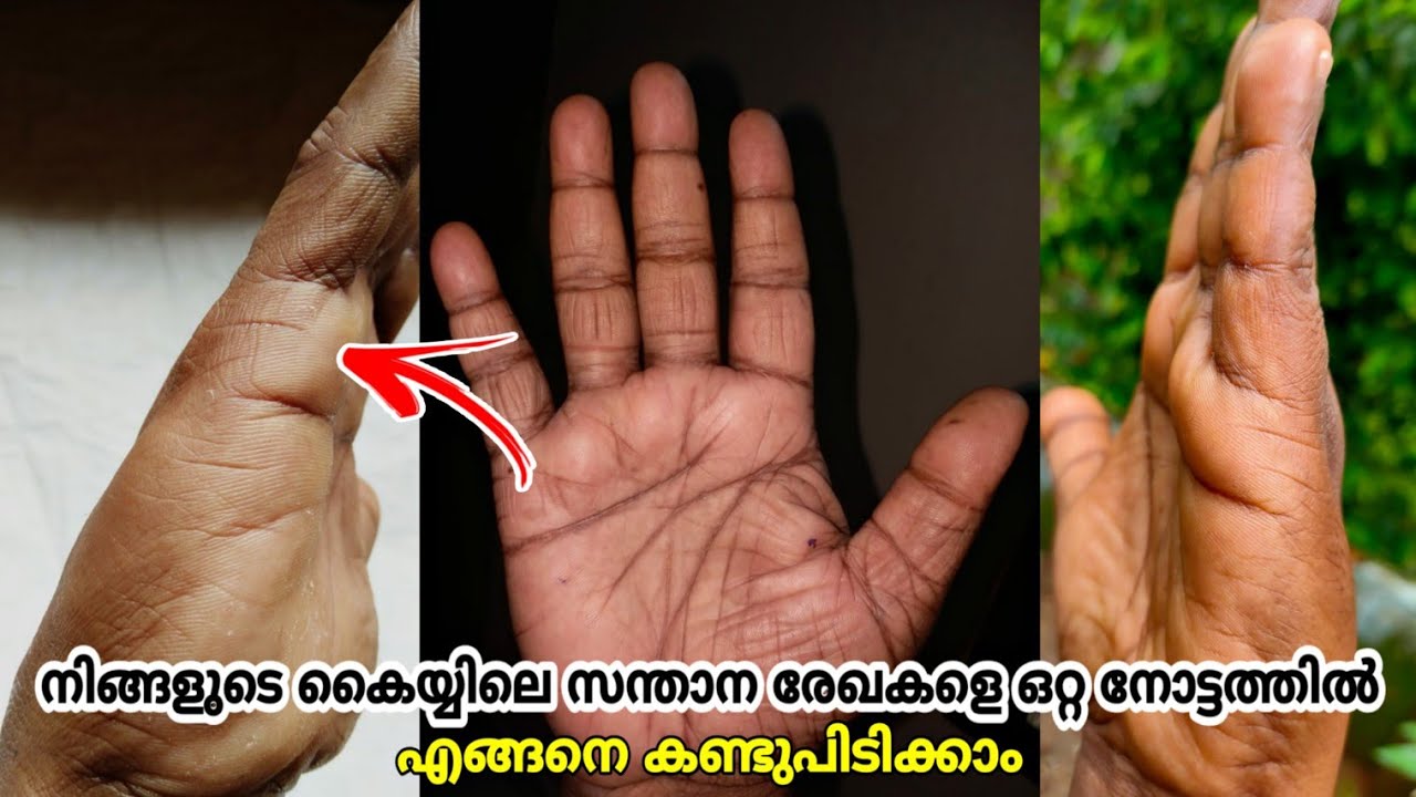 സന്താന രേഖകളെ ഏങ്ങനെ കണ്ടുപിടിക്കാം ✋️👍|| Children's Line Explanation In Malayalam || VedicPalmistry