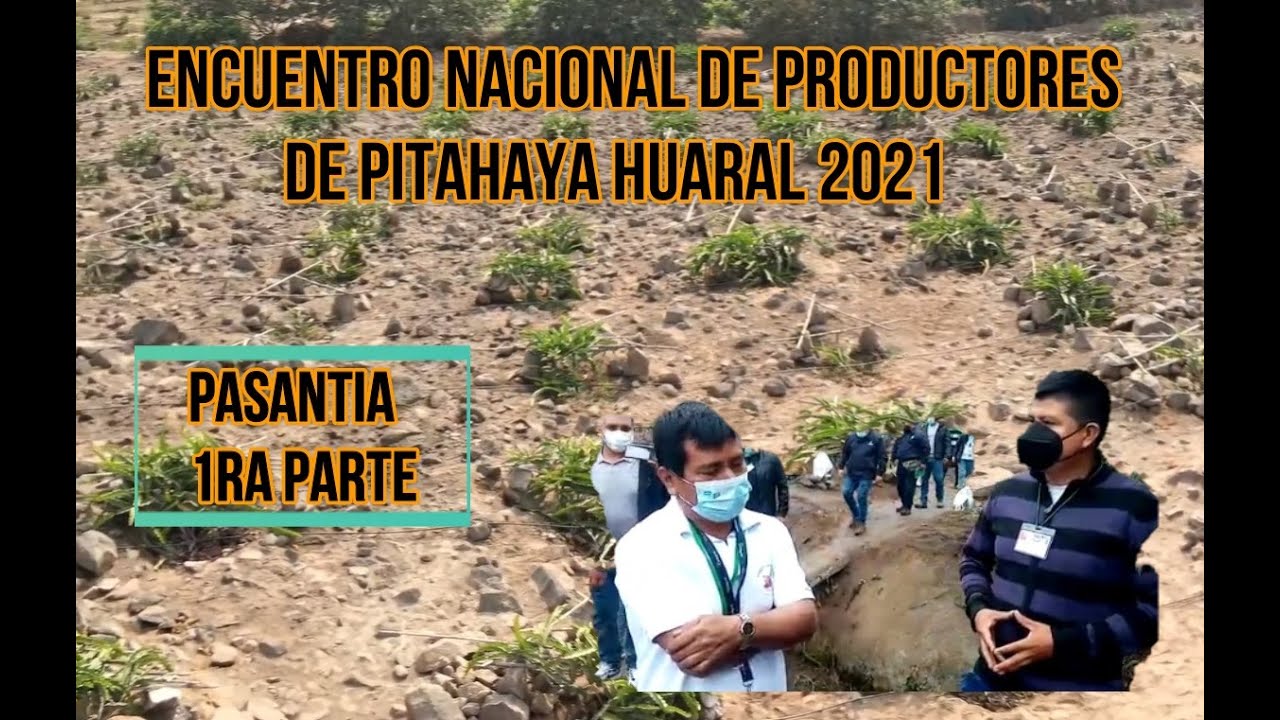 Encuentro de Productores de Pitahaya Huaral 2021 -Meeting of Producers of Pitahaya Peru Part1