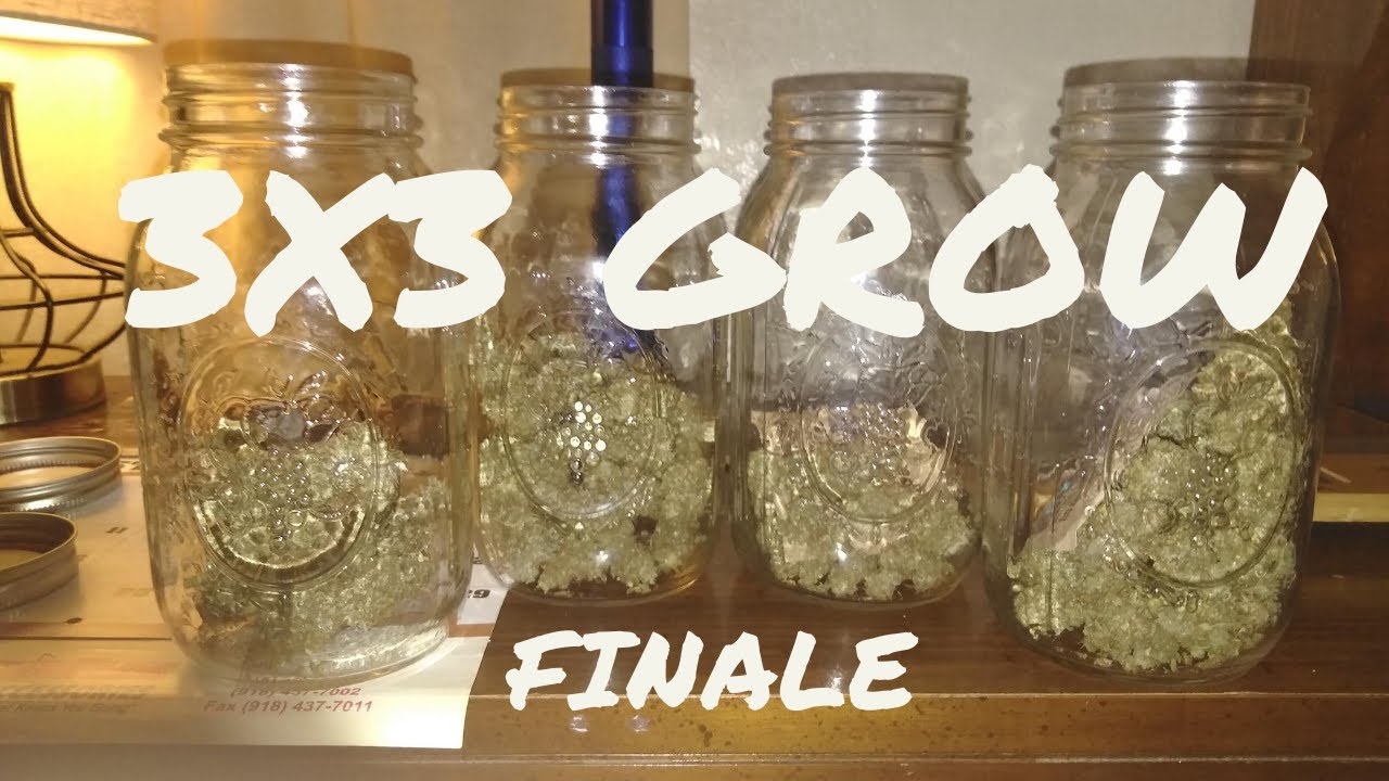 3x3 Grow Long Finale