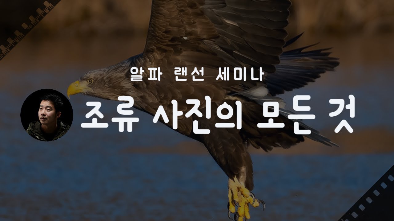 [알파 랜선 세미나] All about 조류 사진 by 조중래 작가