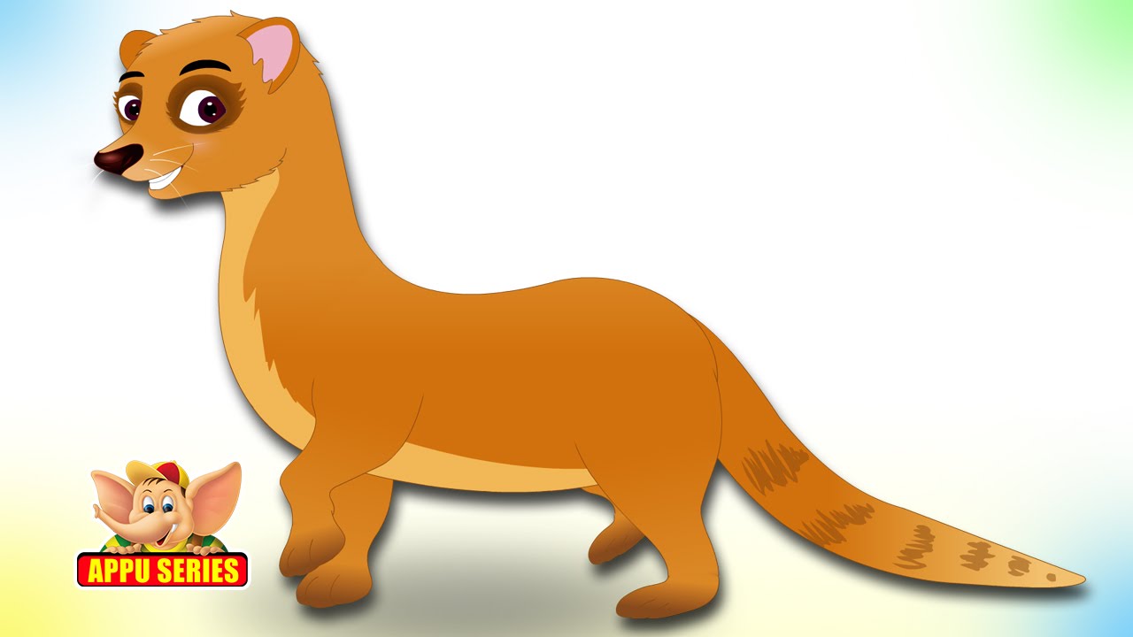 Animal Songs for Kids | Mongoose Song
