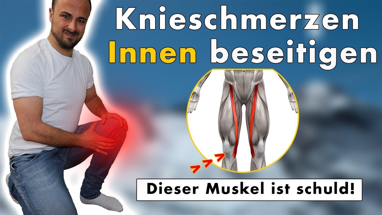 Knieschmerzen Innen (ist kein Knorpelschaden! ) | Ursache & Lösung durch Übungen