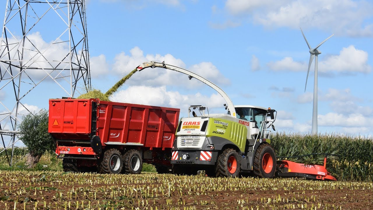 Claas Jaguar 960 - Loonwerken Gerrit Van Hulle - mais hakselen
