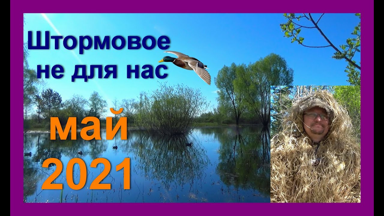 Закрытие на селезня Беларусь 2021