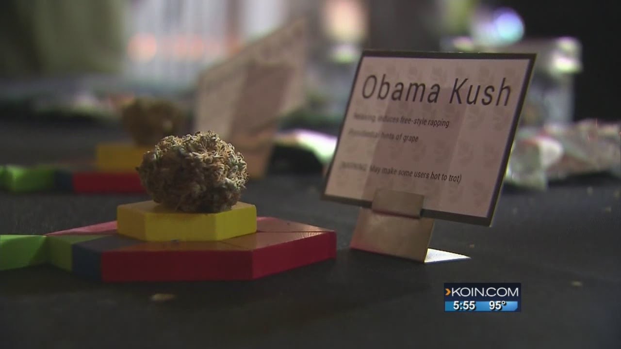 Weed The People draws thousands in Portland