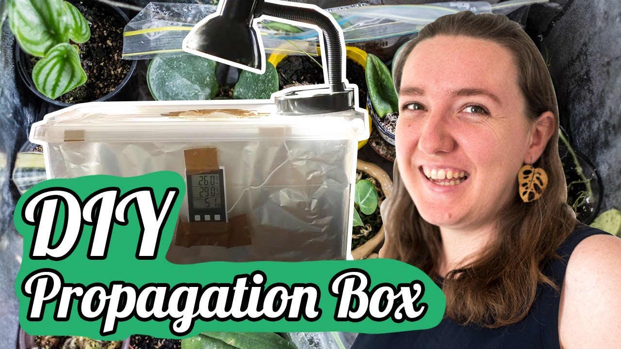 Making A Propagation Box + Plant Tour