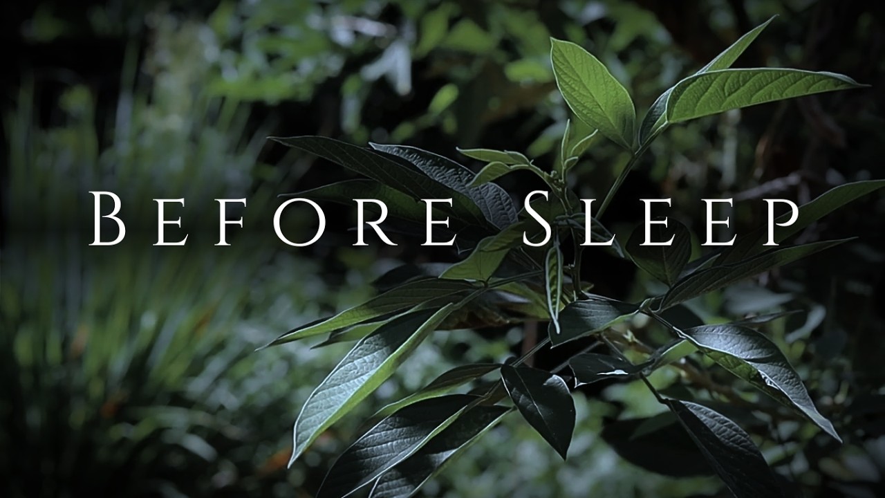 Abide Before Sleep | Gentle Christian Worship for Rest (1 Hour)