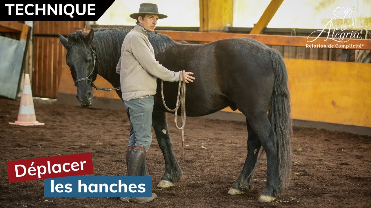 [ EDUQUER SON CHEVAL 👀 ] Déplacer les hanches et reprendre le contrôle d'un cheval qui se cabre