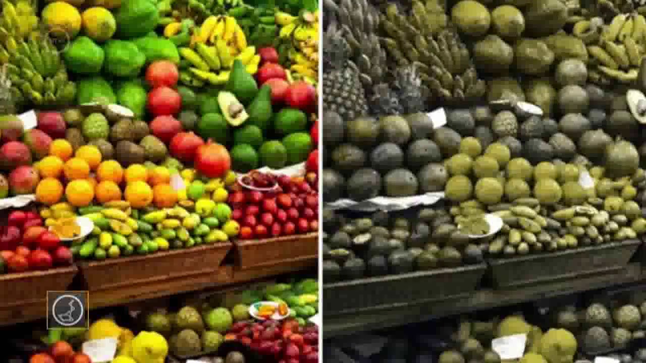 SeeColor alkalmaz&aacute;s a Colorlite sz&iacute;nt&eacute;vesztő tesztje alapj&aacute;n a Tud&oacute;s T&aacute;rsas&aacute;g műsor&aacute;ban