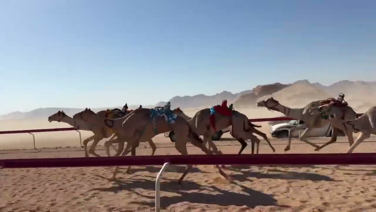 ش٢. زمول ( شاهين ) محمود محمد البدول 