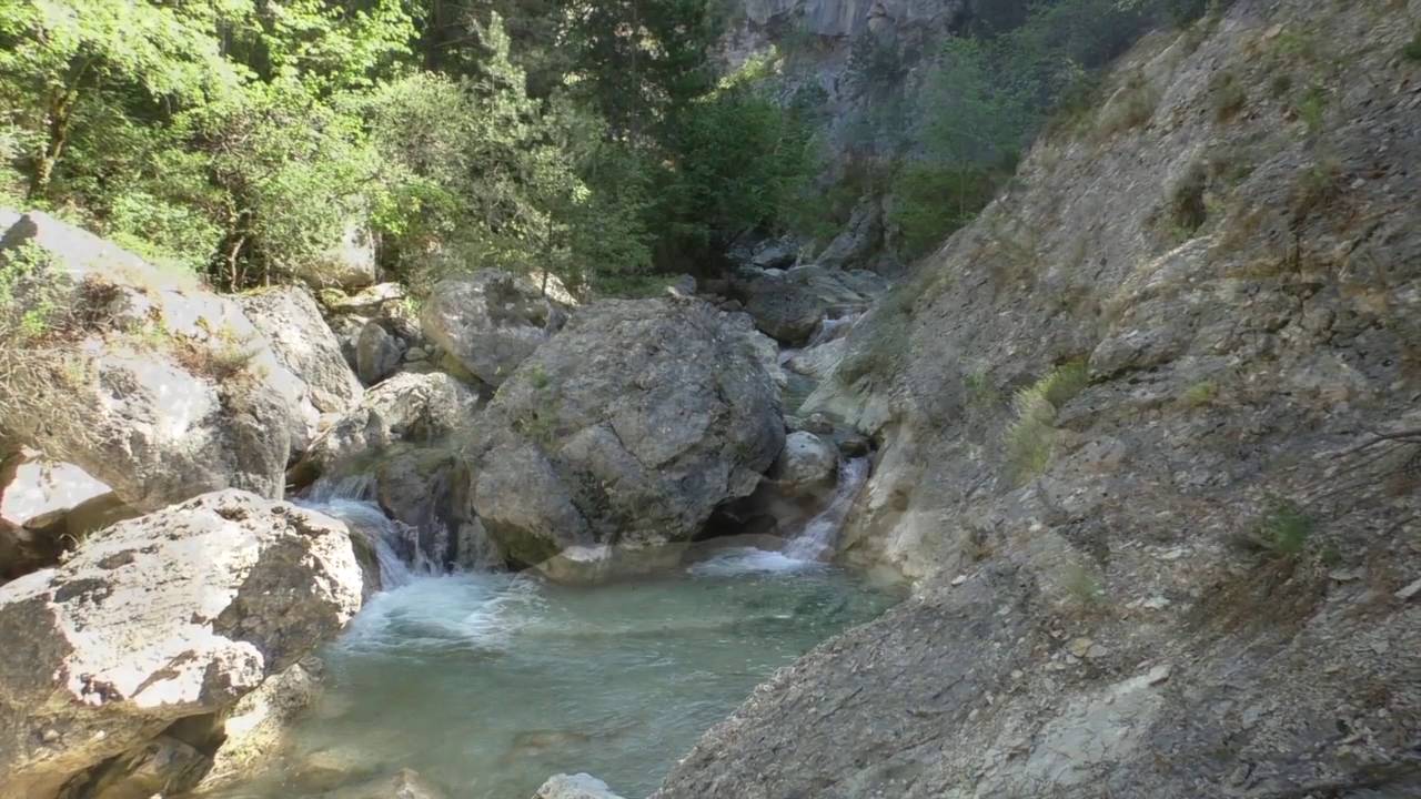 Estoublon